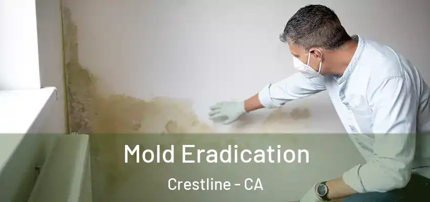  Mold Eradication Crestline - CA