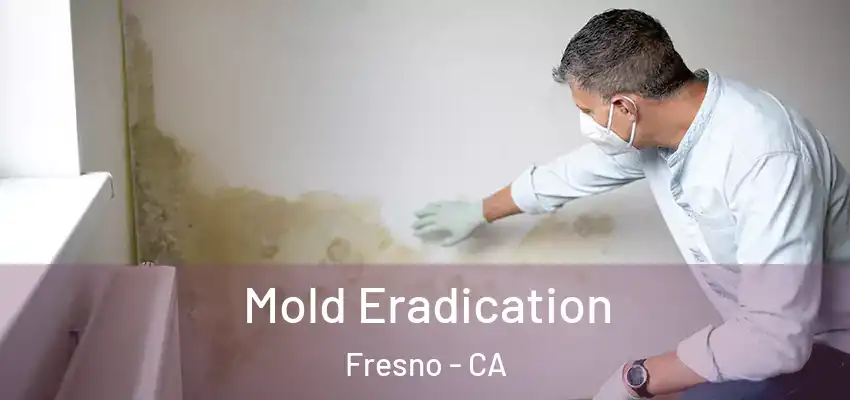  Mold Eradication Fresno - CA