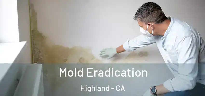  Mold Eradication Highland - CA