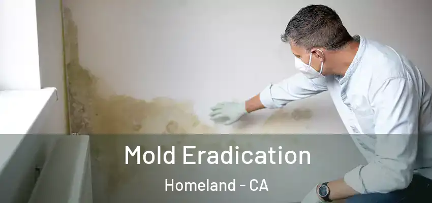  Mold Eradication Homeland - CA