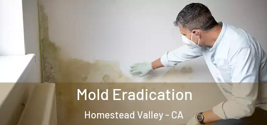  Mold Eradication Homestead Valley - CA