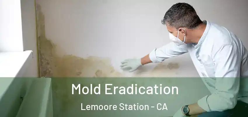  Mold Eradication Lemoore Station - CA