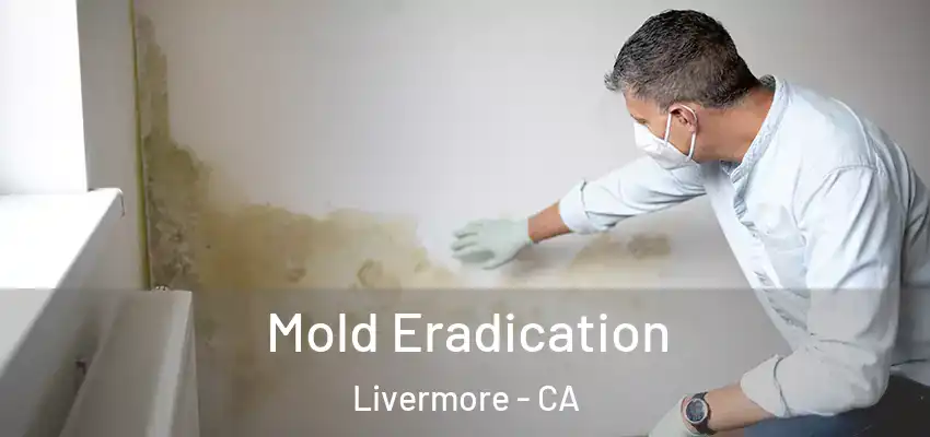  Mold Eradication Livermore - CA