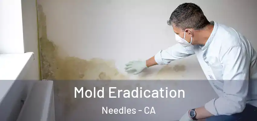  Mold Eradication Needles - CA