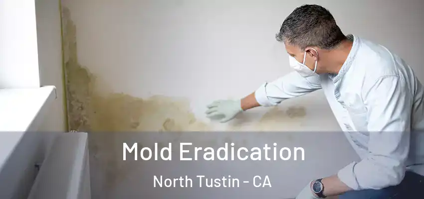  Mold Eradication North Tustin - CA