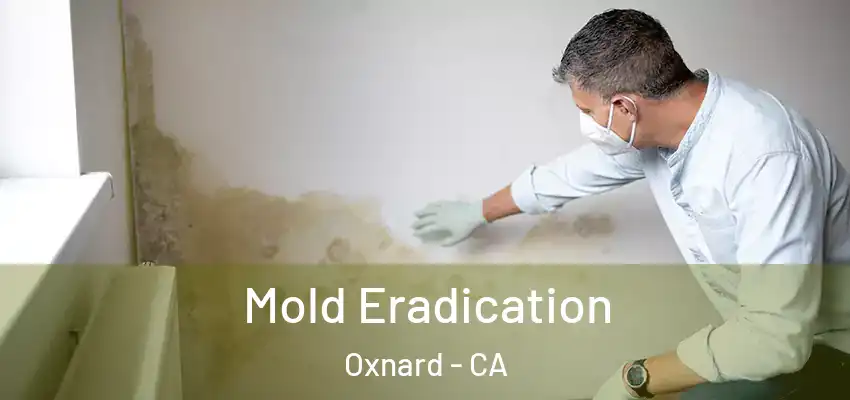  Mold Eradication Oxnard - CA