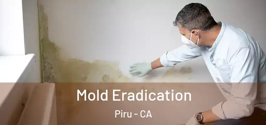  Mold Eradication Piru - CA