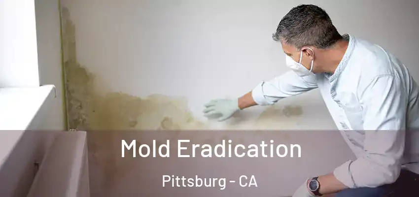  Mold Eradication Pittsburg - CA