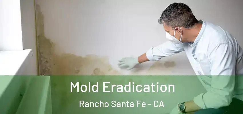  Mold Eradication Rancho Santa Fe - CA
