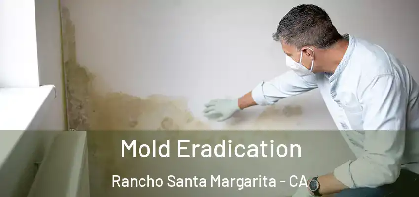  Mold Eradication Rancho Santa Margarita - CA