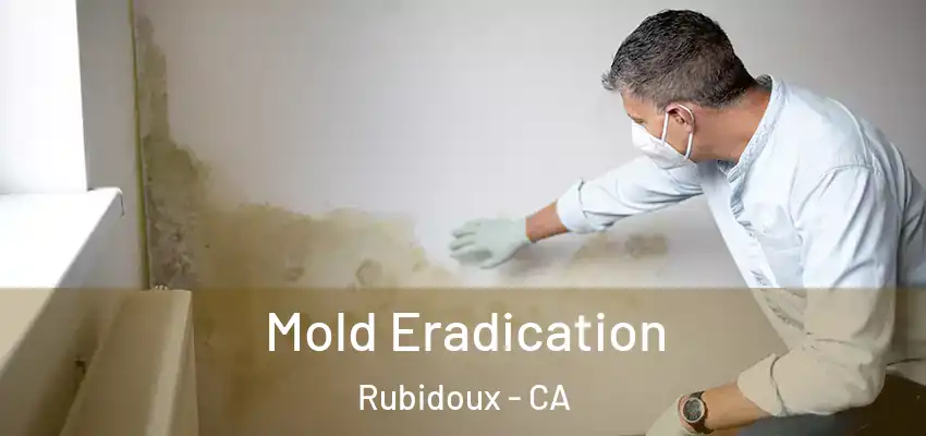  Mold Eradication Rubidoux - CA