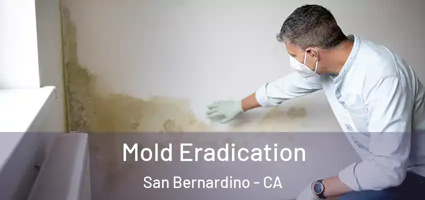  Mold Eradication San Bernardino - CA