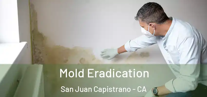 Mold Eradication San Juan Capistrano - CA