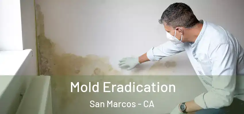  Mold Eradication San Marcos - CA