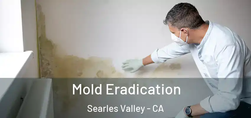  Mold Eradication Searles Valley - CA