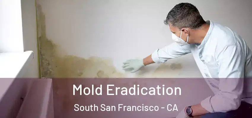  Mold Eradication South San Francisco - CA