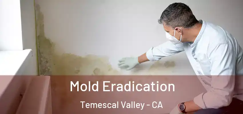  Mold Eradication Temescal Valley - CA