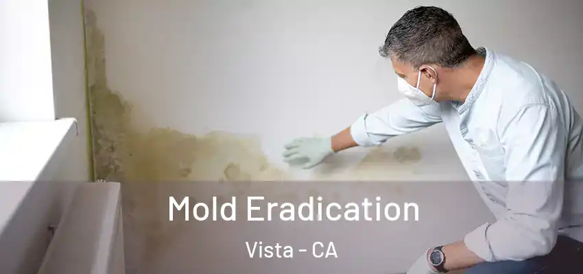  Mold Eradication Vista - CA