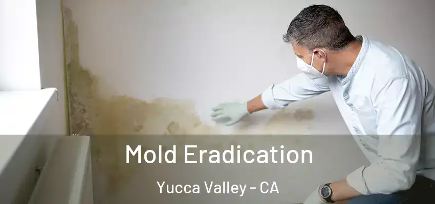  Mold Eradication Yucca Valley - CA