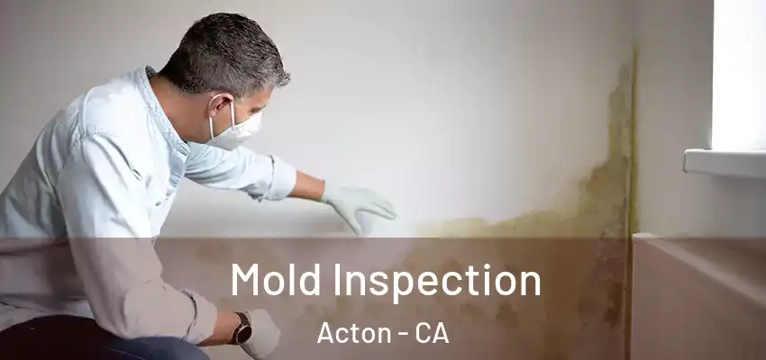  Mold Inspection Acton - CA