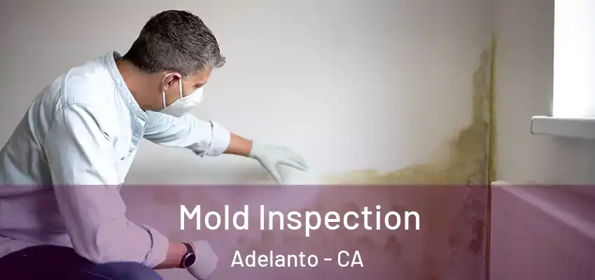  Mold Inspection Adelanto - CA