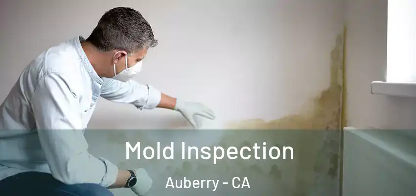  Mold Inspection Auberry - CA