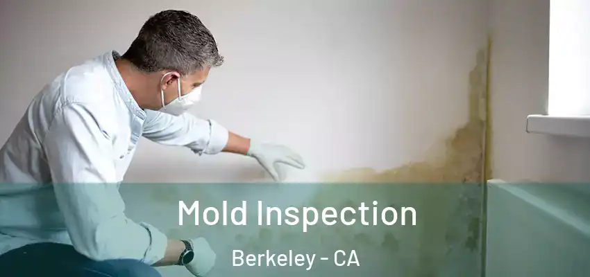  Mold Inspection Berkeley - CA