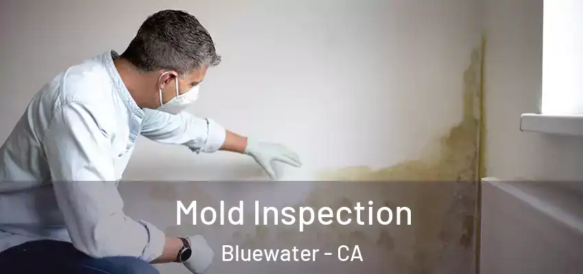  Mold Inspection Bluewater - CA
