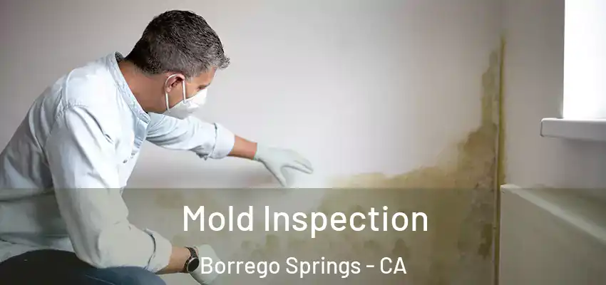  Mold Inspection Borrego Springs - CA