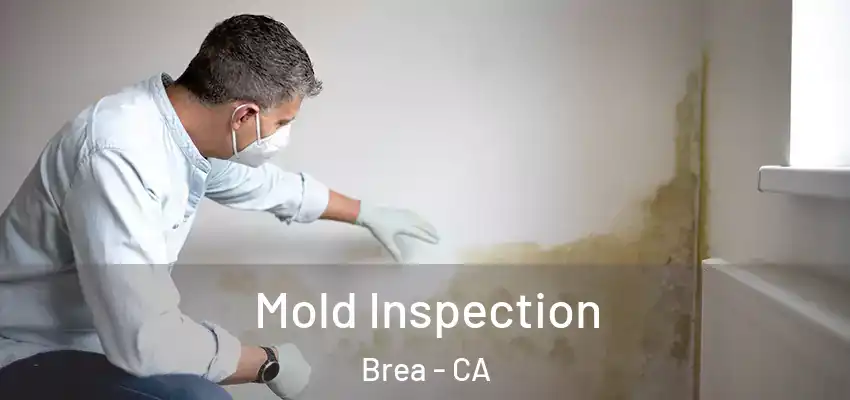  Mold Inspection Brea - CA