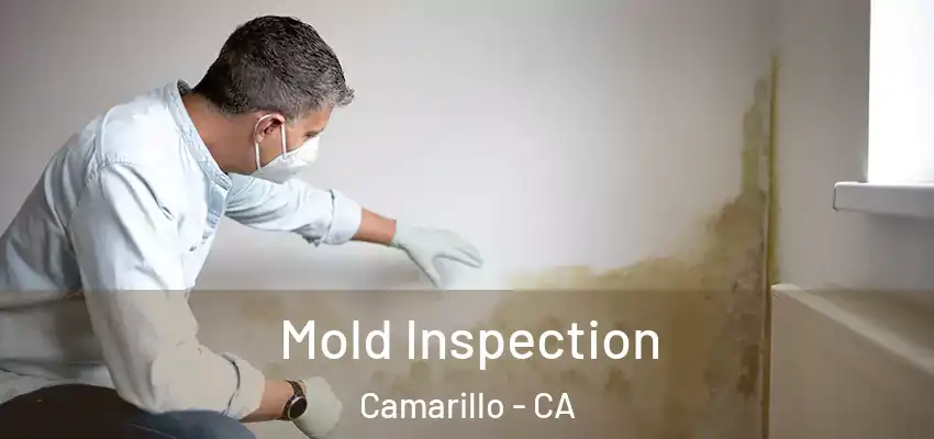  Mold Inspection Camarillo - CA