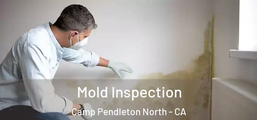  Mold Inspection Camp Pendleton North - CA
