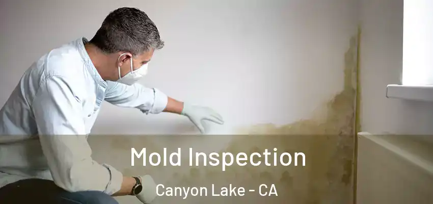  Mold Inspection Canyon Lake - CA