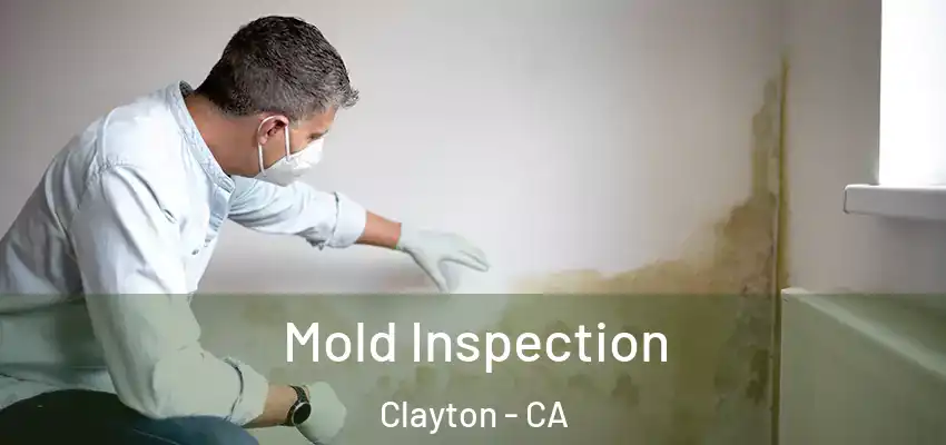  Mold Inspection Clayton - CA