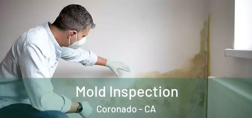  Mold Inspection Coronado - CA