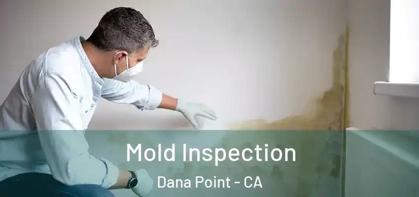  Mold Inspection Dana Point - CA