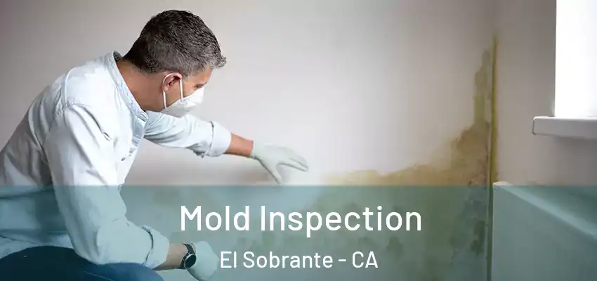  Mold Inspection El Sobrante - CA