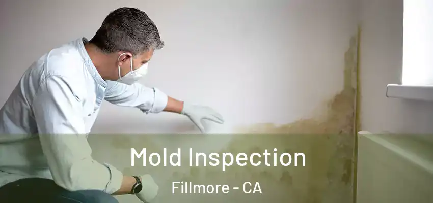  Mold Inspection Fillmore - CA