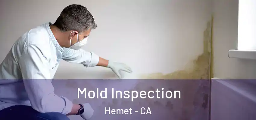  Mold Inspection Hemet - CA
