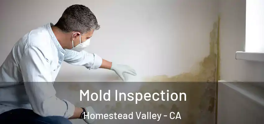  Mold Inspection Homestead Valley - CA