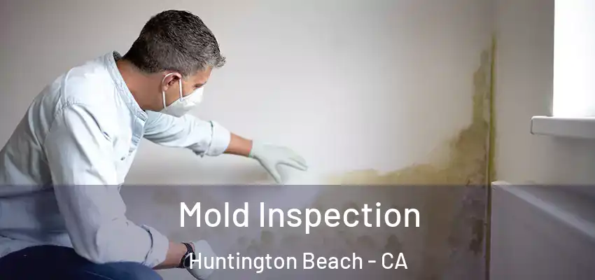  Mold Inspection Huntington Beach - CA