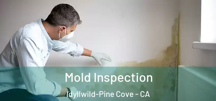  Mold Inspection Idyllwild-Pine Cove - CA