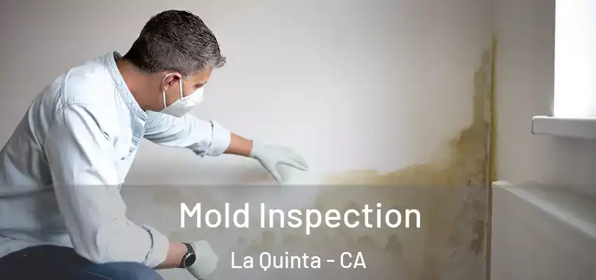  Mold Inspection La Quinta - CA