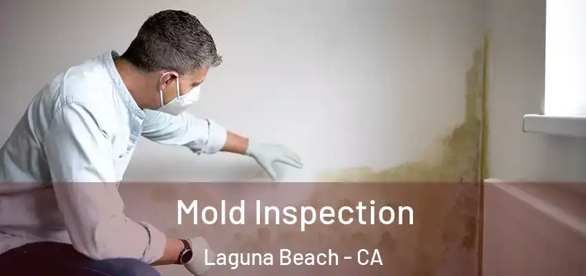  Mold Inspection Laguna Beach - CA