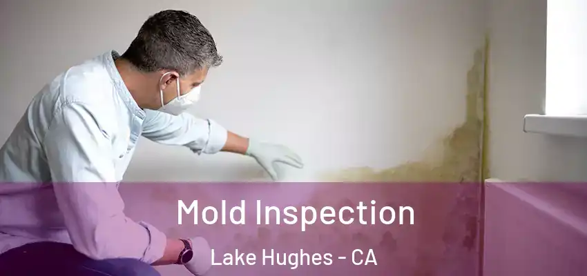  Mold Inspection Lake Hughes - CA