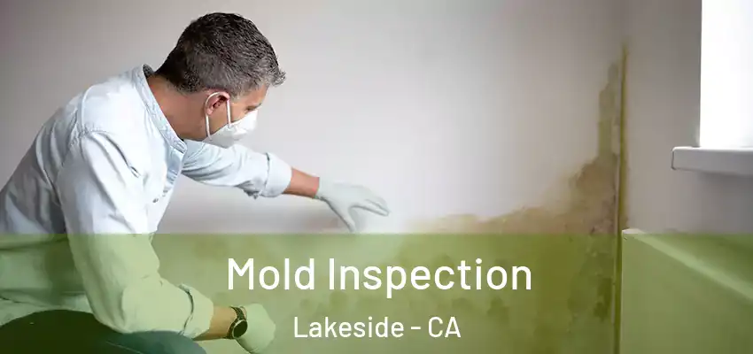  Mold Inspection Lakeside - CA