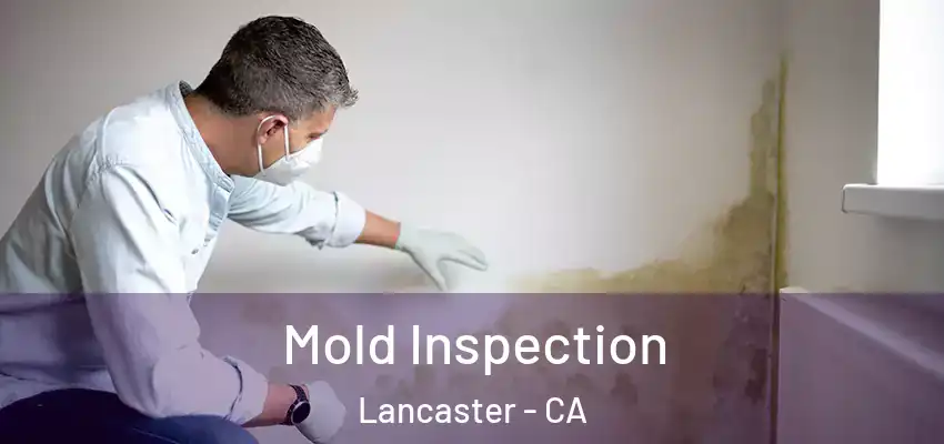  Mold Inspection Lancaster - CA