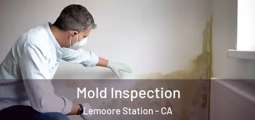  Mold Inspection Lemoore Station - CA