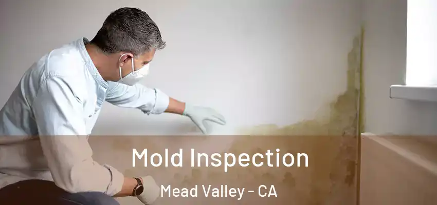  Mold Inspection Mead Valley - CA