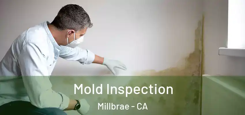  Mold Inspection Millbrae - CA